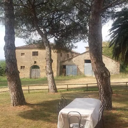 Lupo Vecchio *