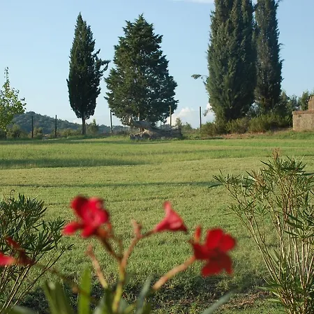Lupo Vecchio