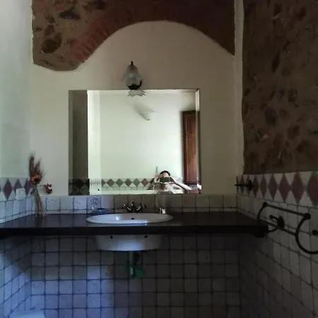 Lupo Vecchio Grosseto
