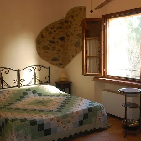 Lupo Vecchio Grosseto