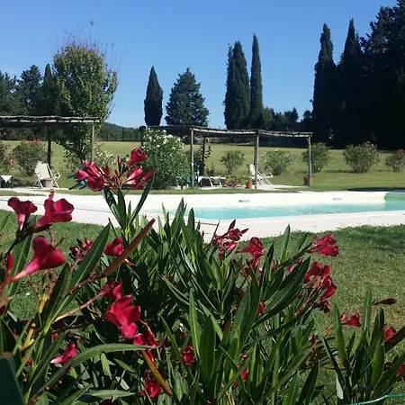Lupo Vecchio * Grosseto