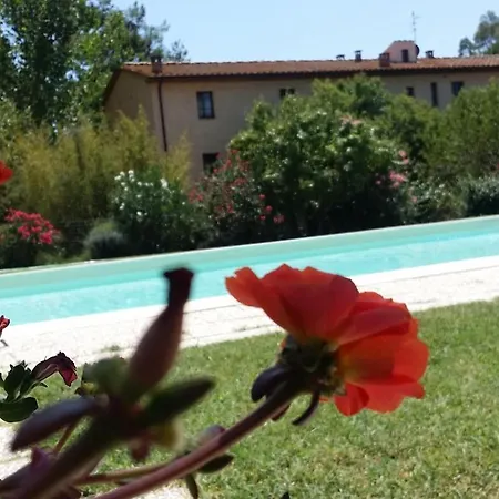 Lupo Vecchio غروسيتو