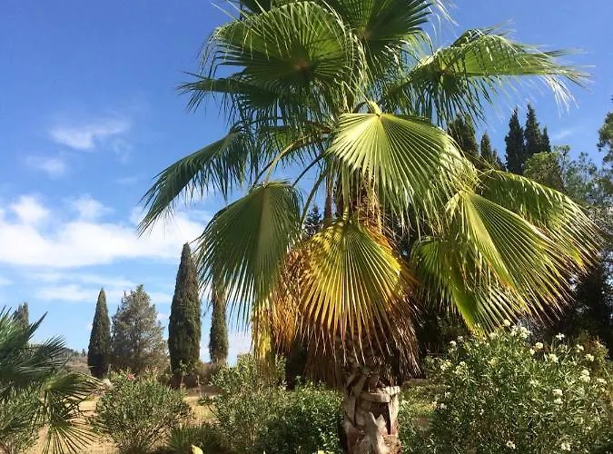 مزرعة للإقامة Lupo Vecchio *