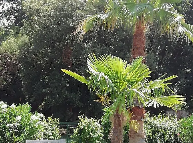 مزرعة للإقامة Lupo Vecchio