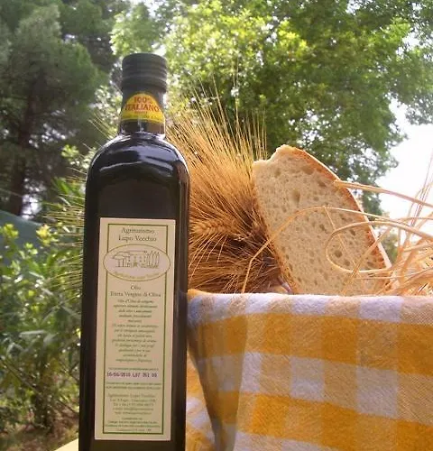 مزرعة للإقامة Lupo Vecchio *